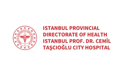 Digital and AI-Driven Decision Support at Istanbul Prof. Dr. Cemil Tascioglu City Hospital: